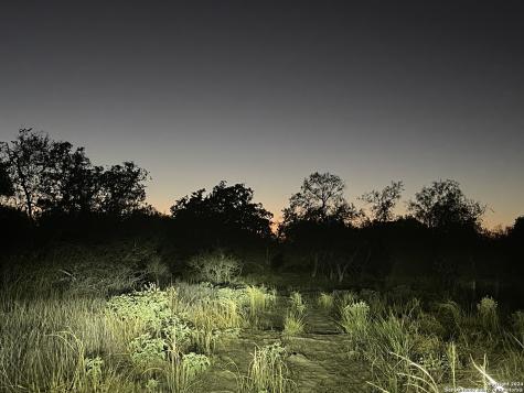 20594 S State Highway 16 Atascosa TX 78264