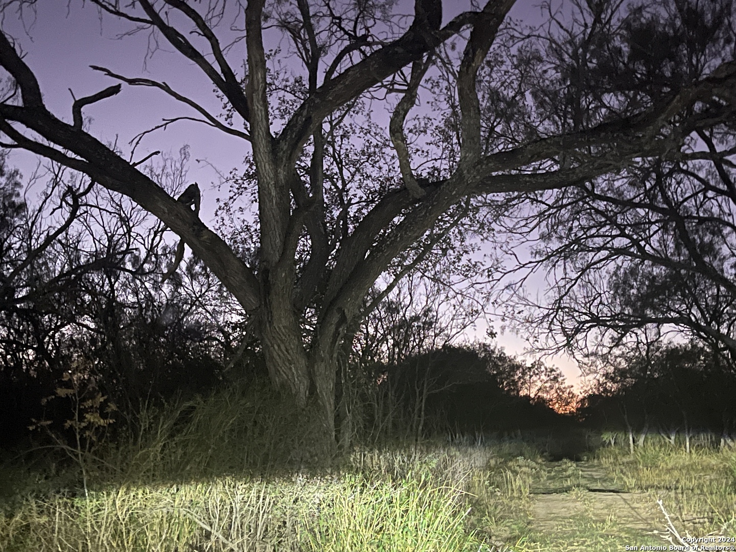 20594 S State Highway 16 Atascosa TX 78264