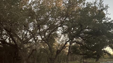 20594 S State Highway 16 Atascosa TX 78264