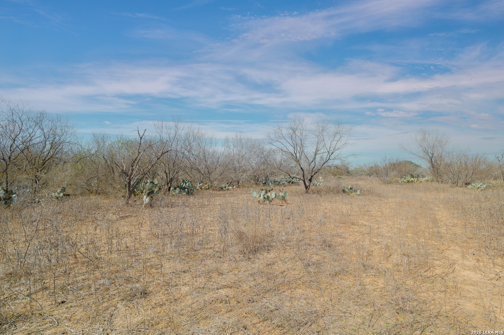 1826 County Road 2537 Moore TX 78057