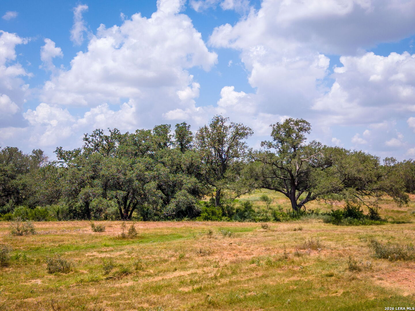 4567 Luther Seguin TX 78155
