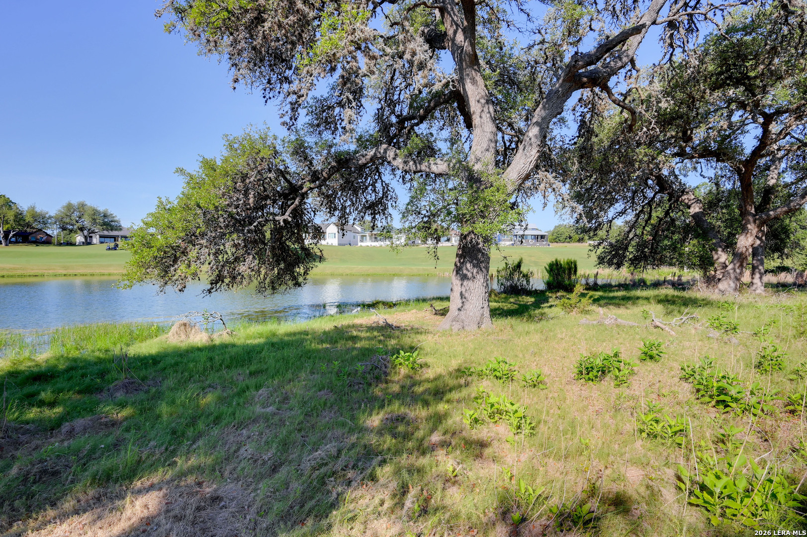 104 Savannah Court Blanco TX 78606