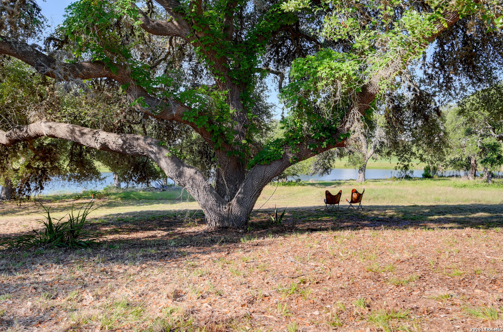 104 Savannah Court Blanco TX 78606