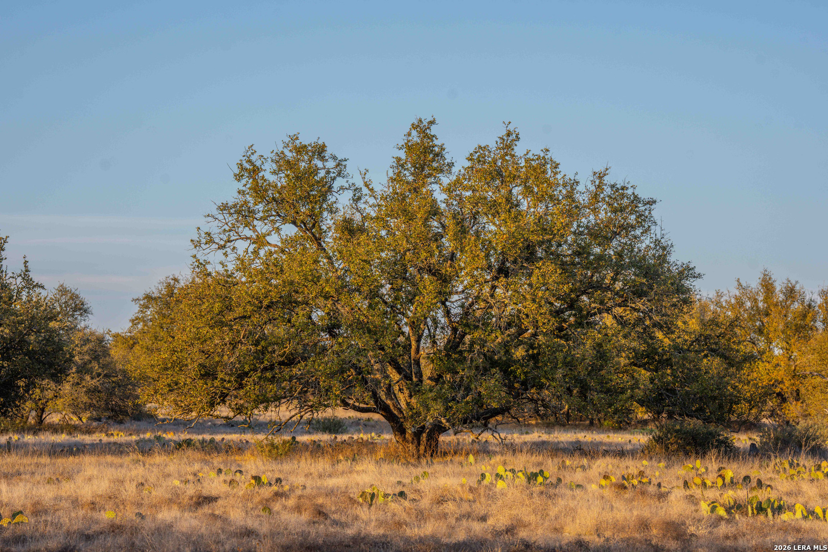 0 Treadwell Lane Menard TX 76859