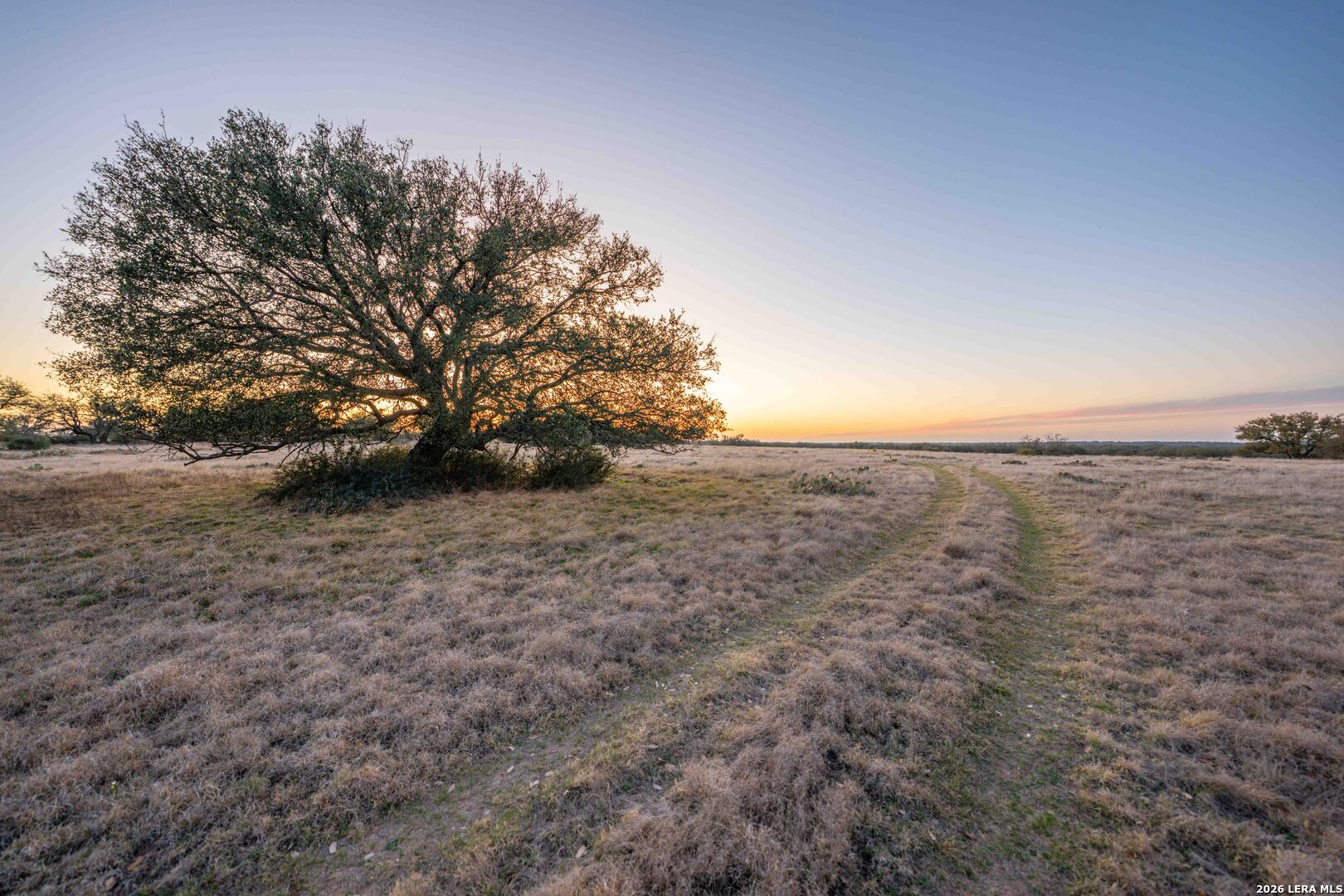 0 Treadwell Lane Menard TX 76859
