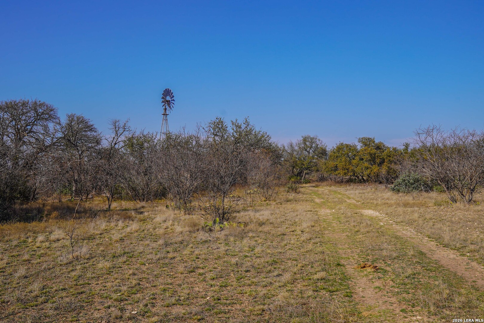 0 Treadwell Lane Menard TX 76859