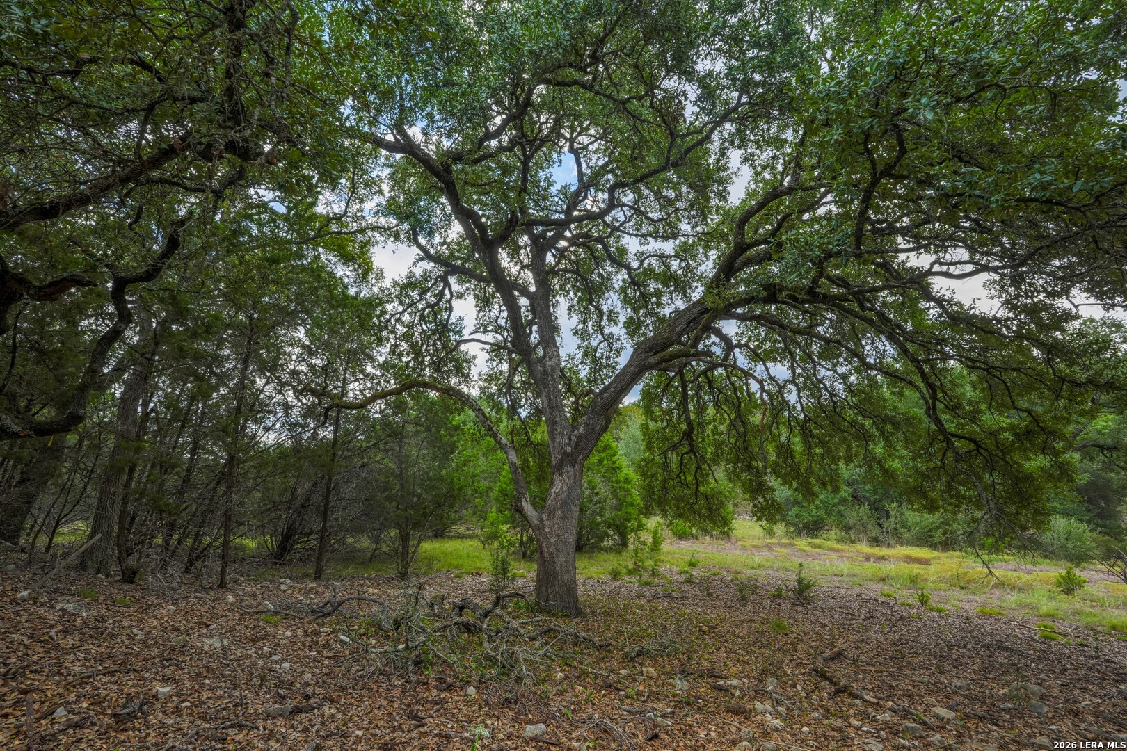Lot 6 Monterey Trail Boerne TX 78006