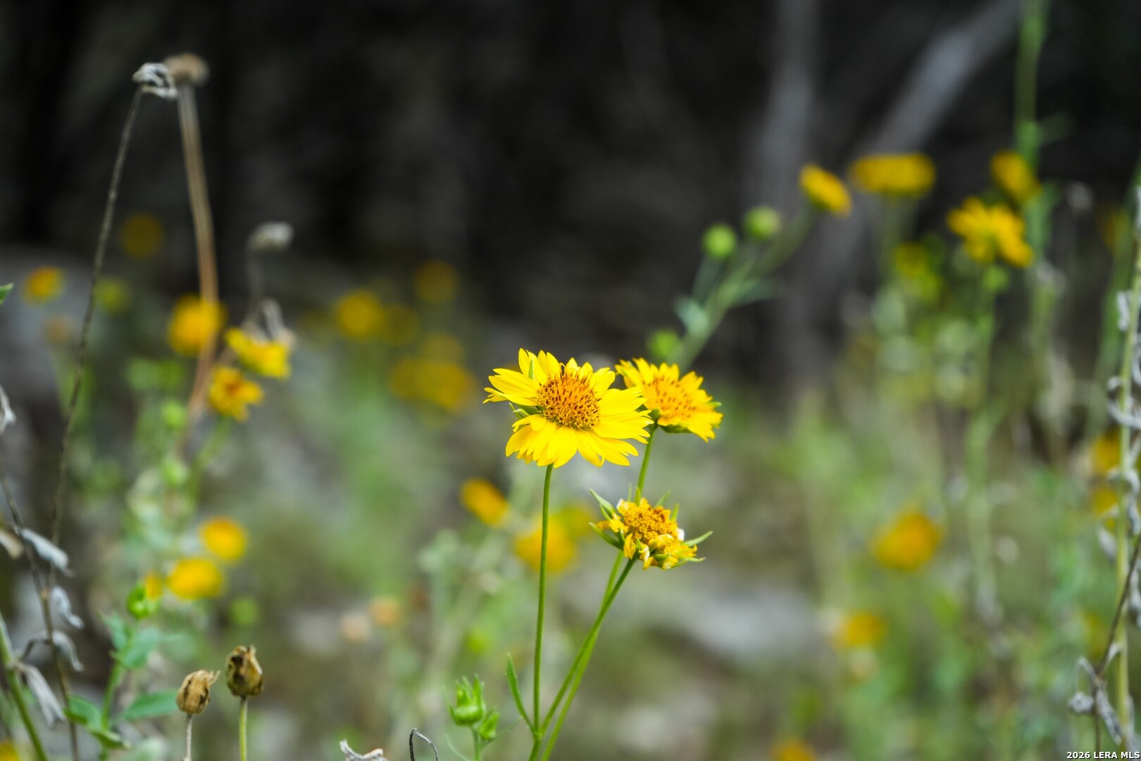 Lot 6 Monterey Trail Boerne TX 78006