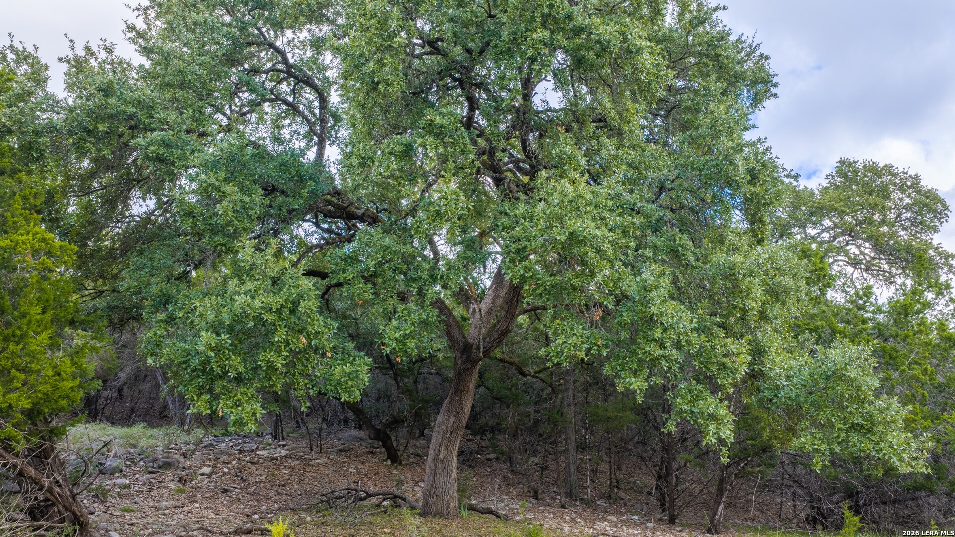 Lot 6 Monterey Trail Boerne TX 78006