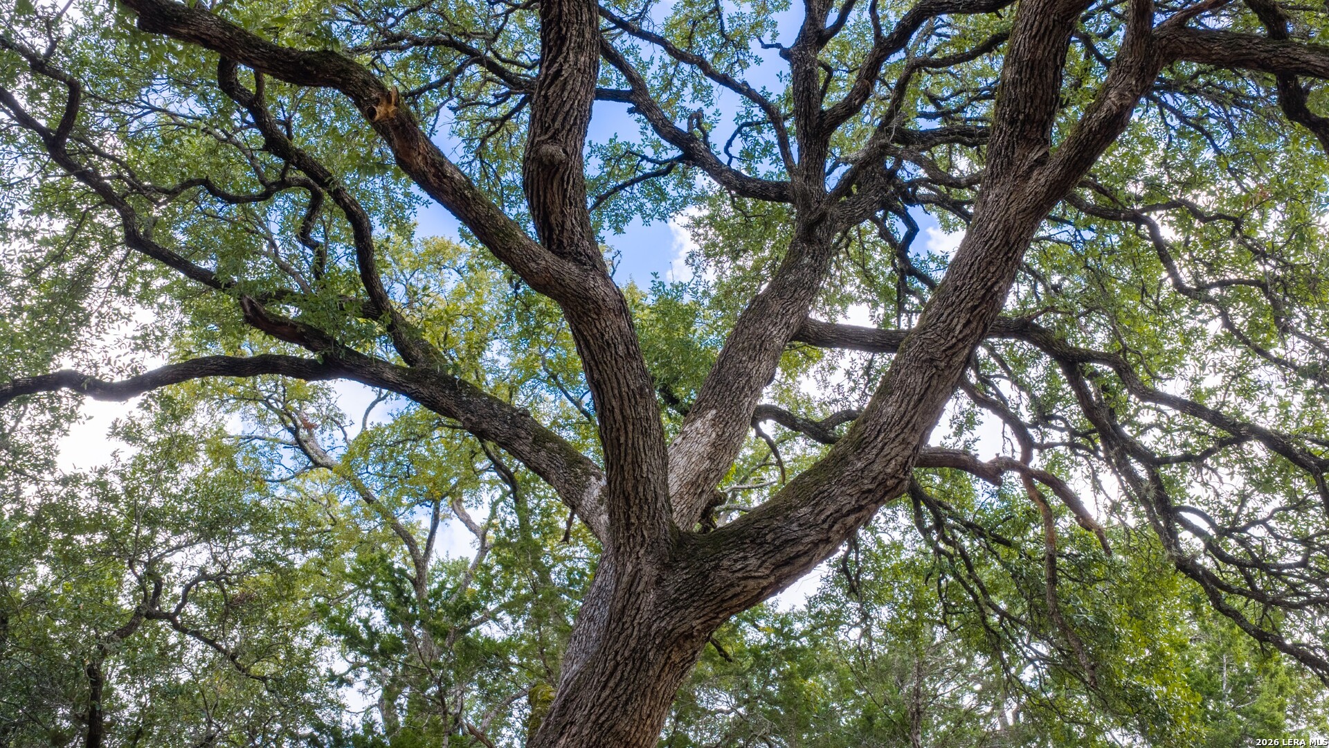 Lot 6 Monterey Trail Boerne TX 78006