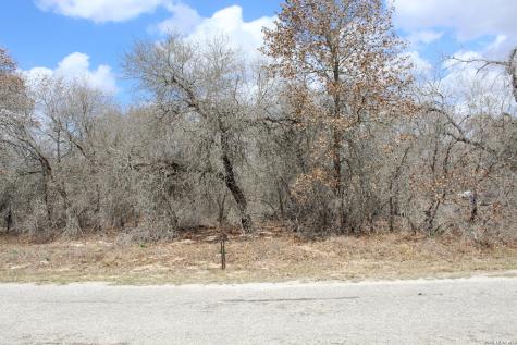 290 Spur Ridge San Antonio TX 78064