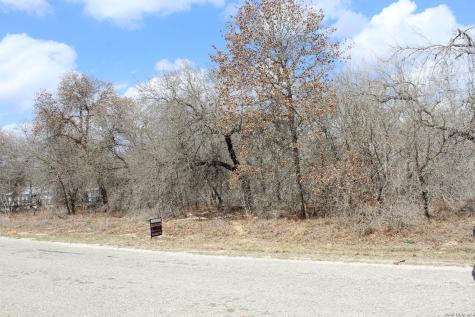 290 Spur Ridge San Antonio TX 78064