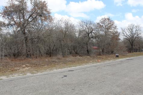 290 Spur Ridge San Antonio TX 78064