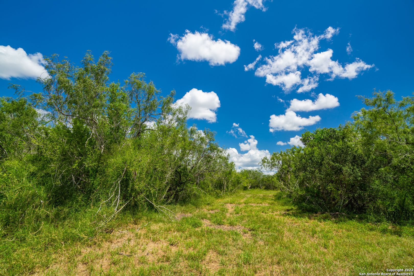 9815 Us-181n Skidmore TX 78389