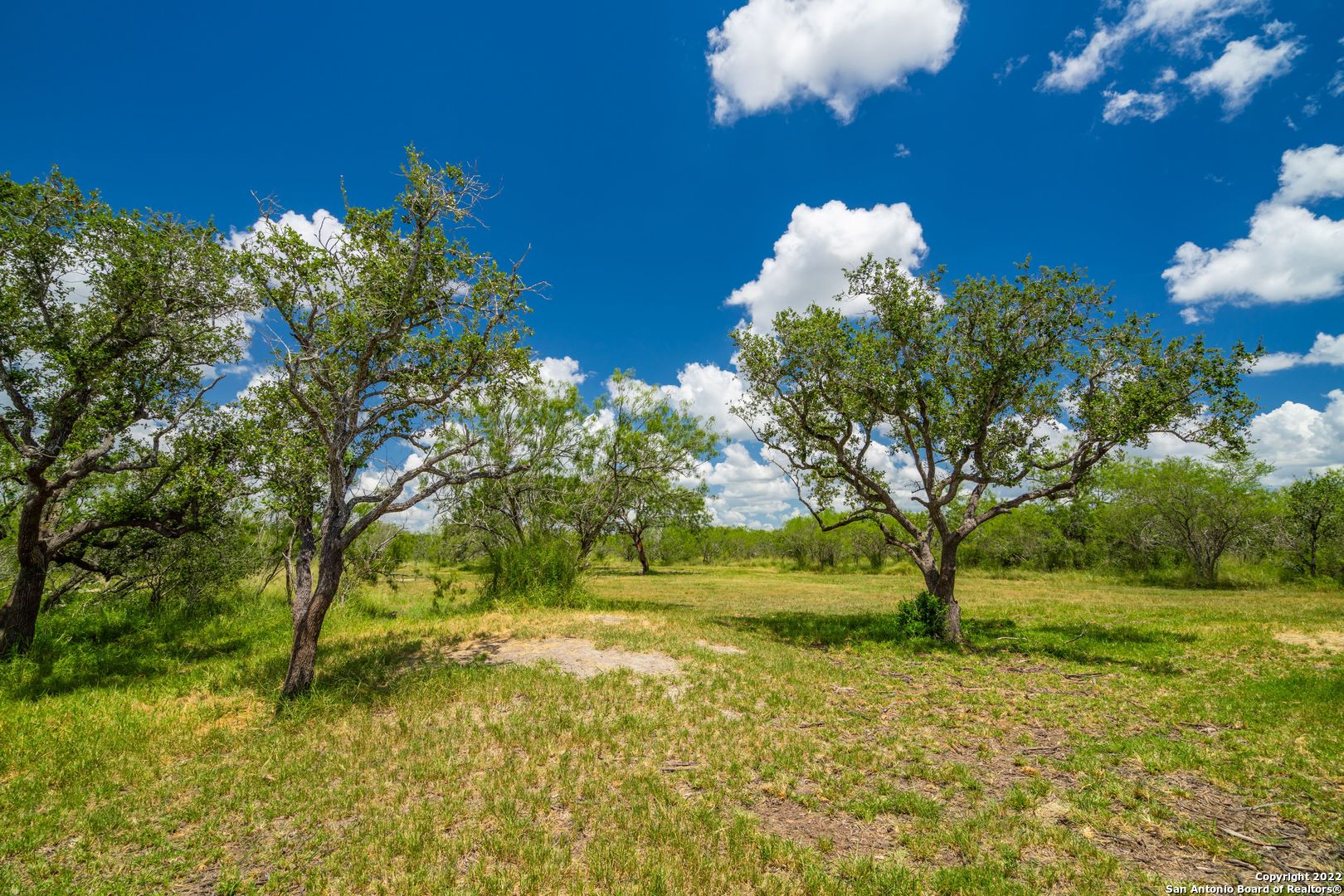 9815 Us-181n Skidmore TX 78389