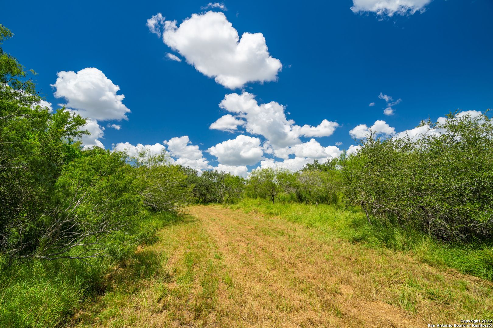 9815 Us-181n Skidmore TX 78389