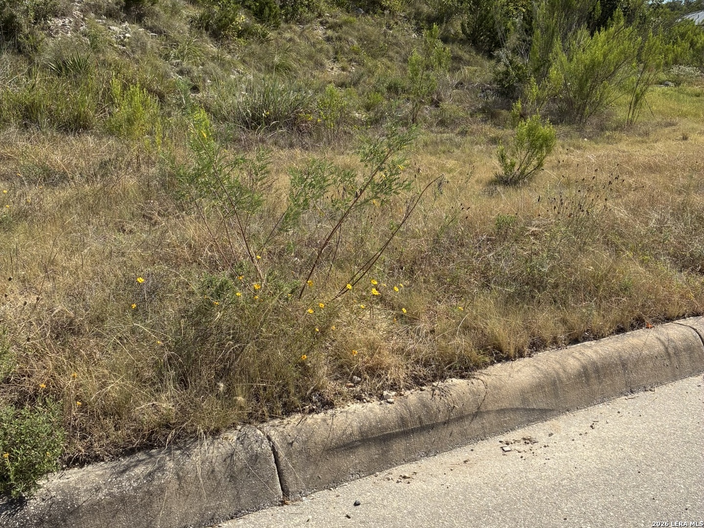 0 Edens San Antonio TX 78255