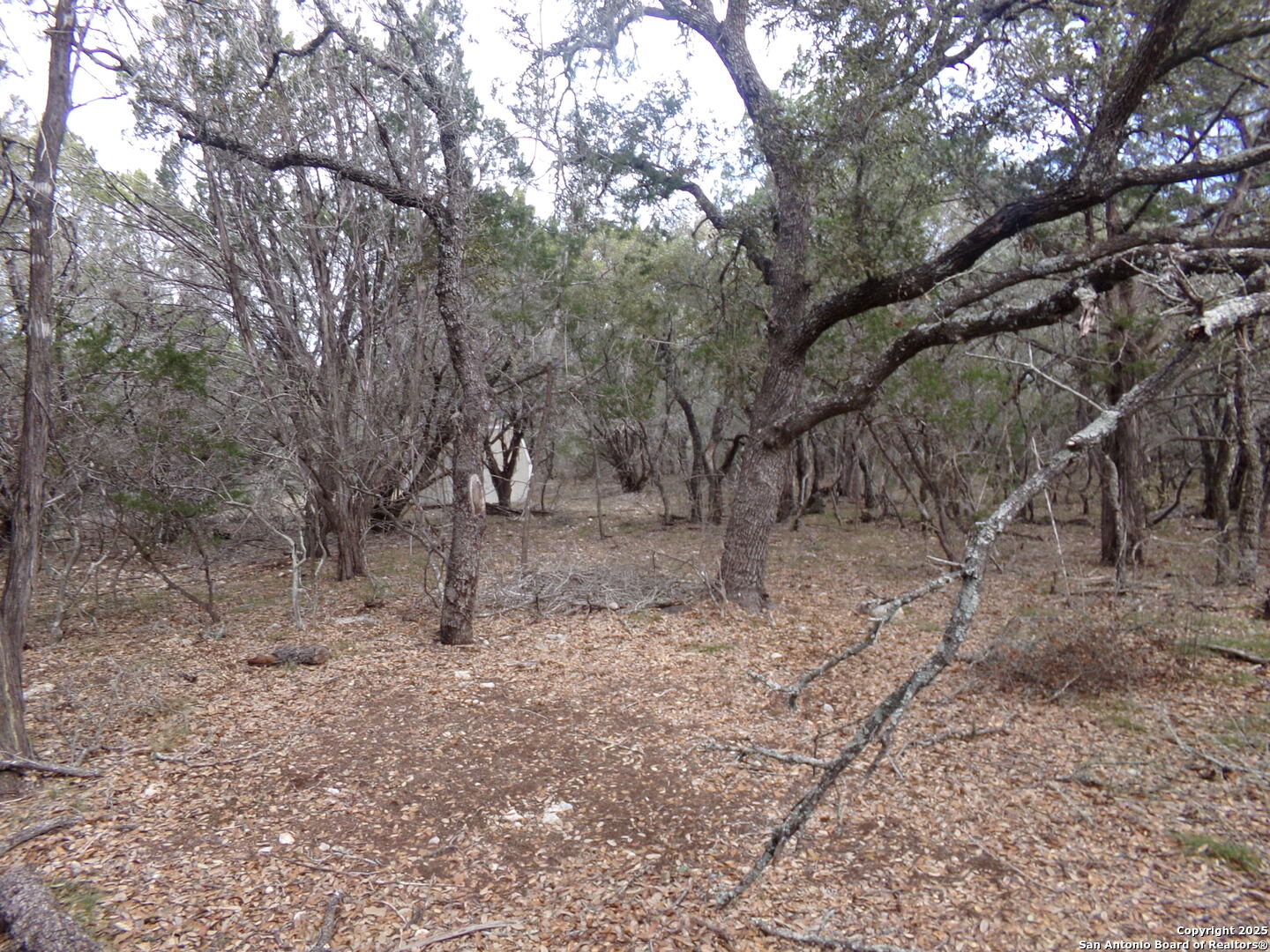 5 Pvt Road 2560 Uvalde TX 78801
