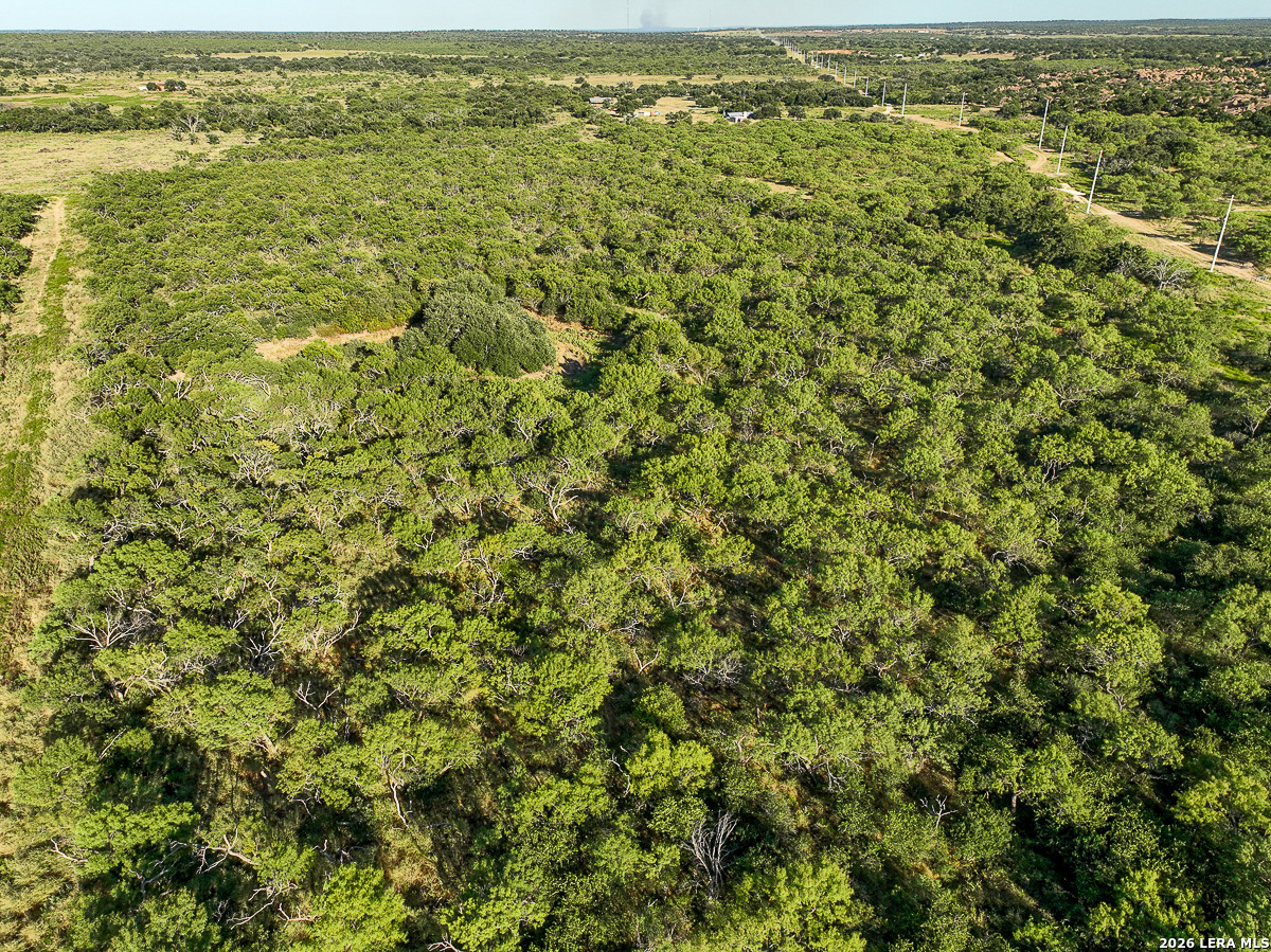 1 State Highway 29 Mason TX 76856