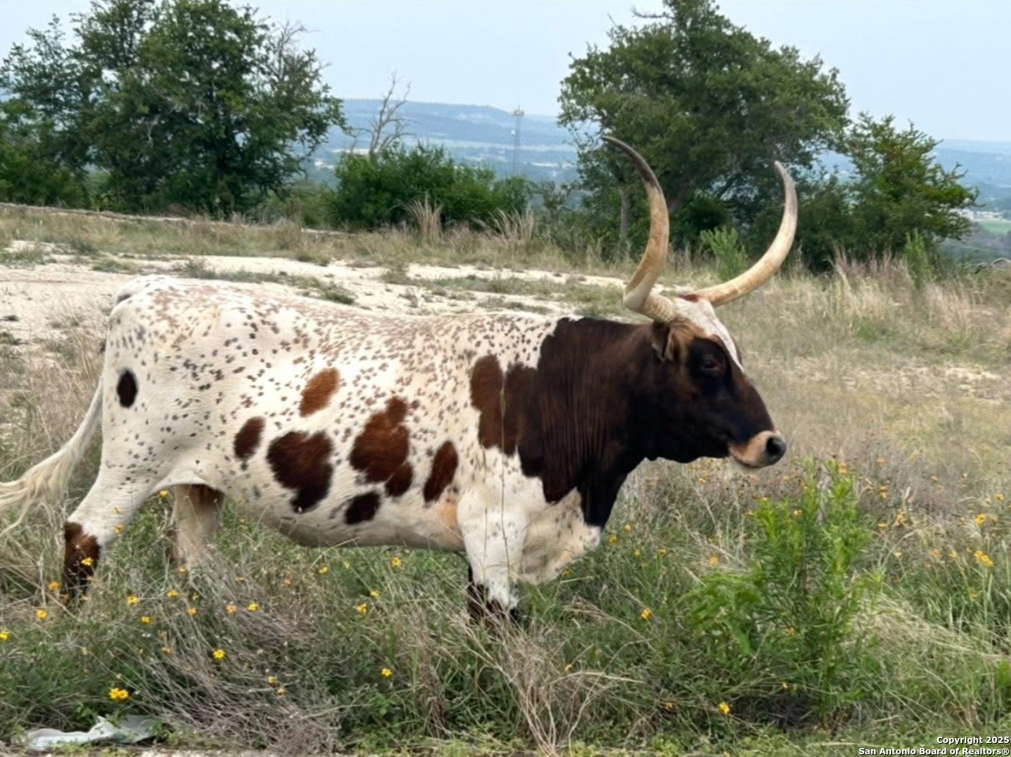 Lot 71 Great Sky Avenue Kerrville TX 78028