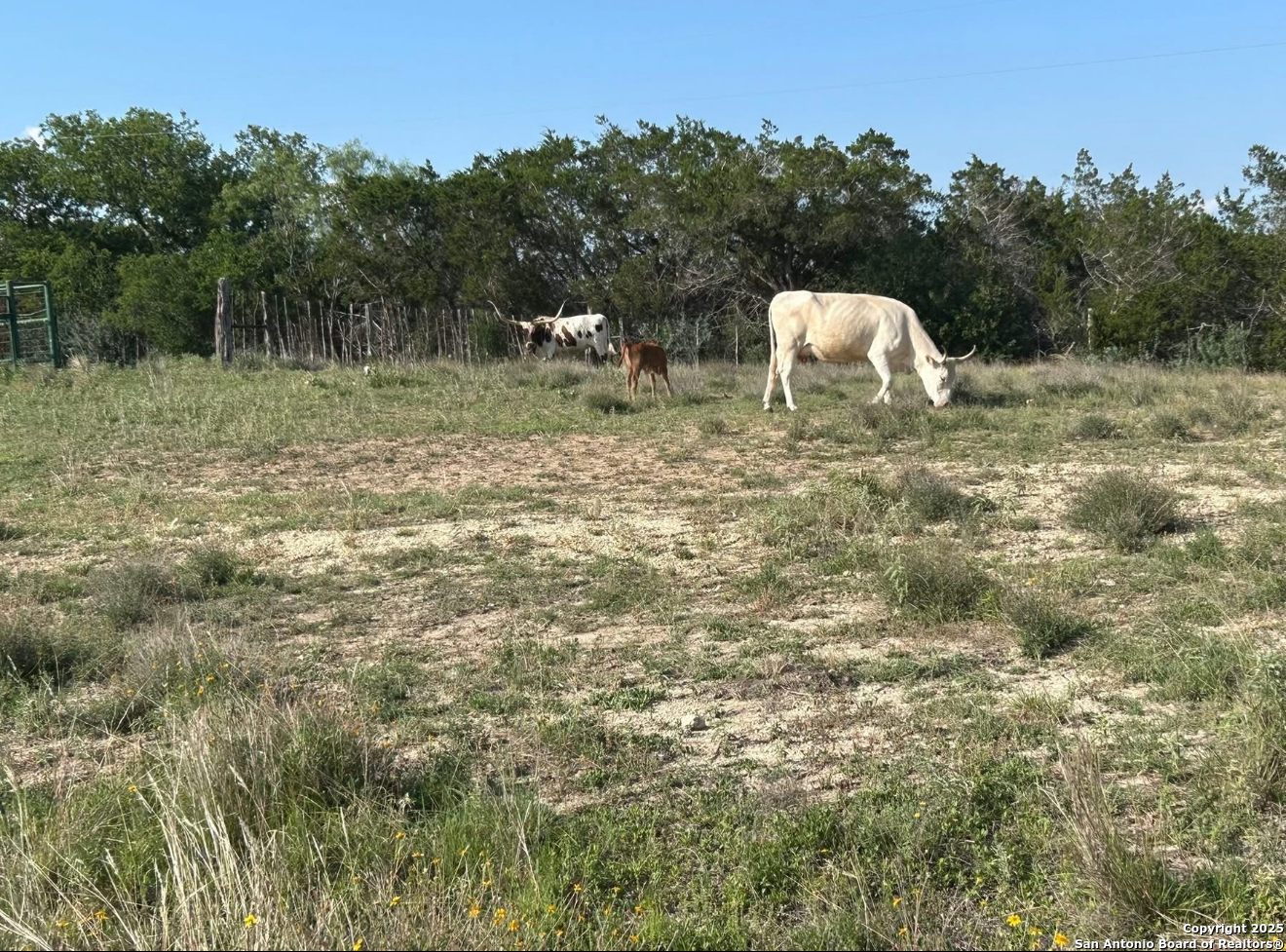 Lot 71 Great Sky Avenue Kerrville TX 78028