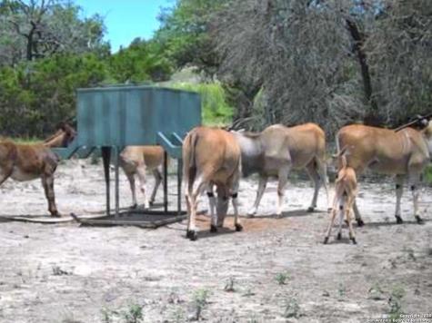 Lot 71 Great Sky Avenue Kerrville TX 78028