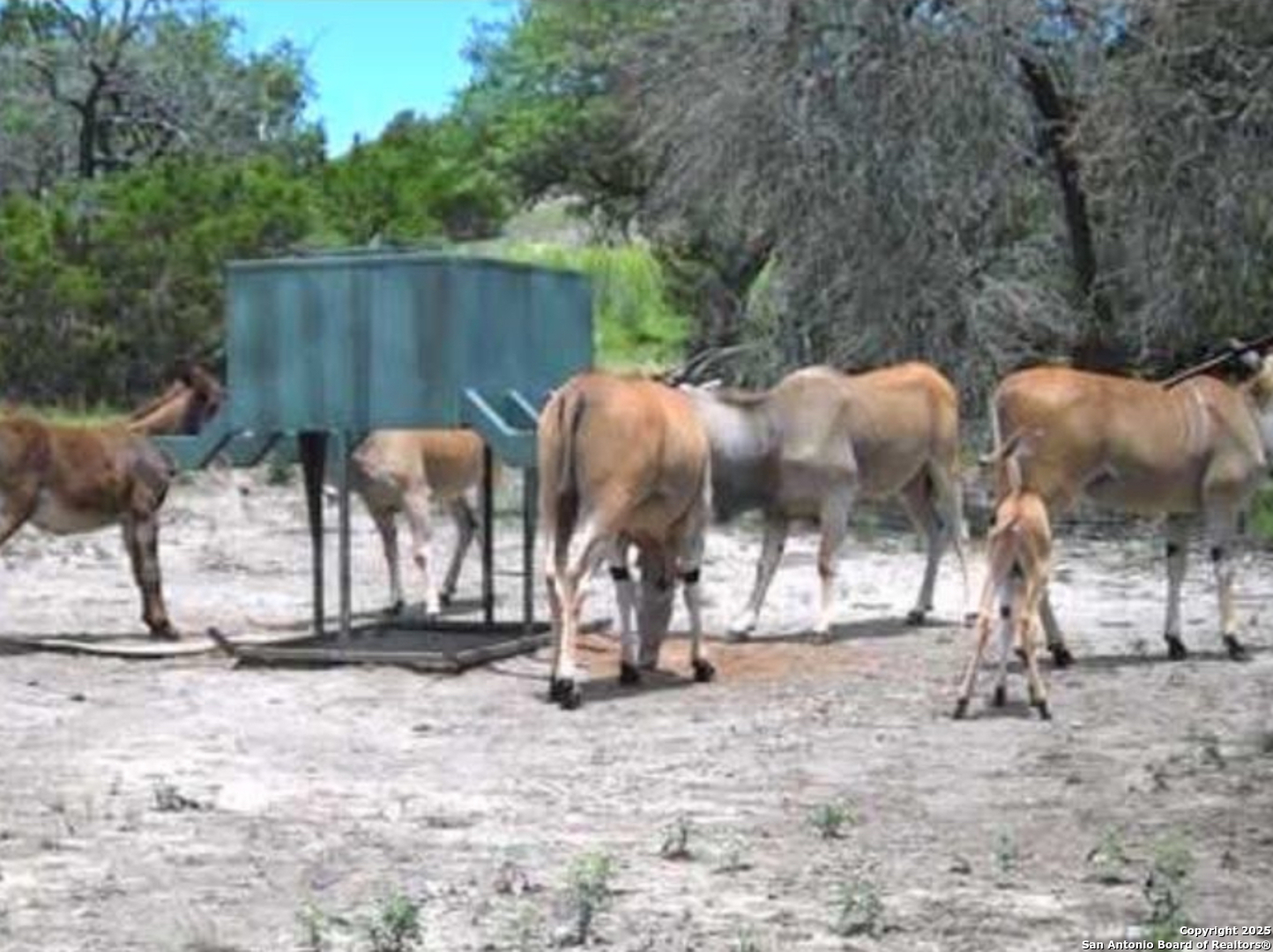 Lot 71 Great Sky Avenue Kerrville TX 78028