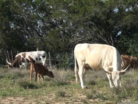 Lot 71 Great Sky Avenue Kerrville TX 78028