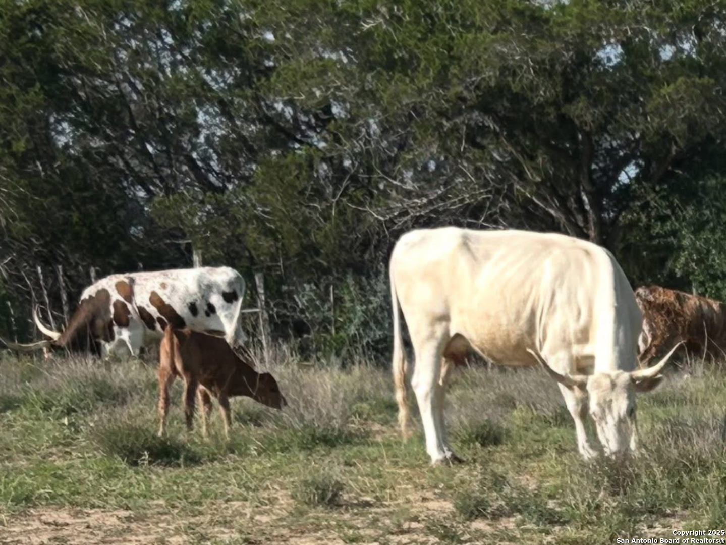 Lot 71 Great Sky Avenue Kerrville TX 78028