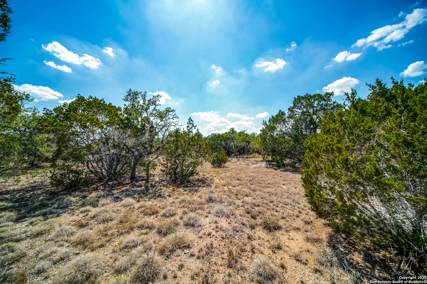 972 Scarlett Ridge Bulverde TX 78163