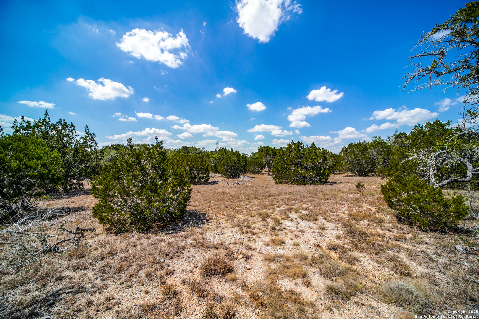 972 Scarlett Ridge Bulverde TX 78163