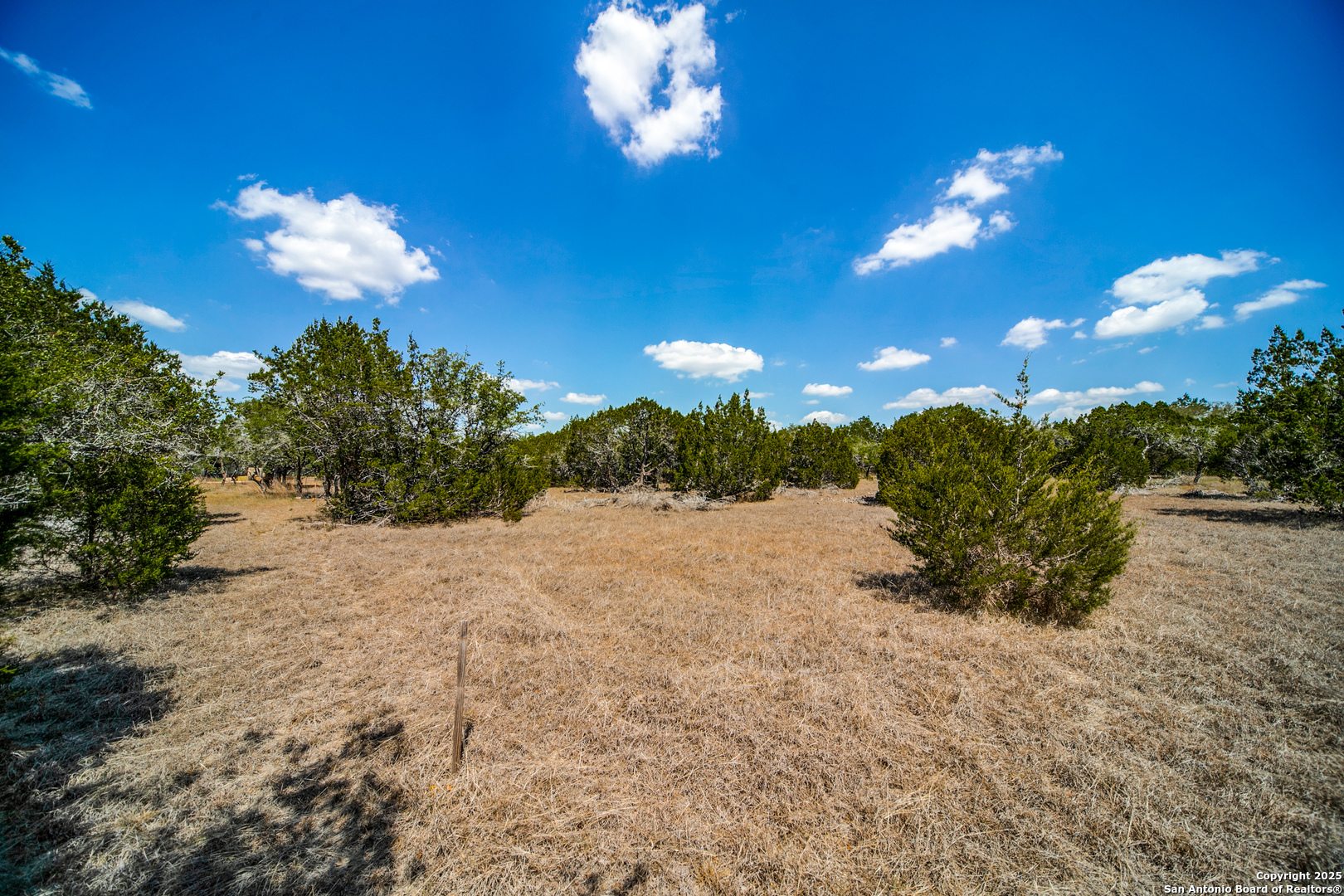 972 Scarlett Ridge Bulverde TX 78163