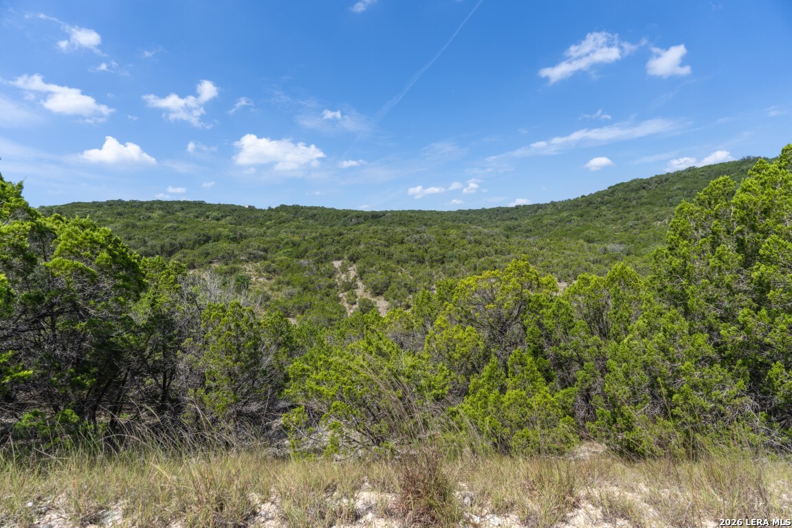 865 Arrowhead Point Helotes TX 78063