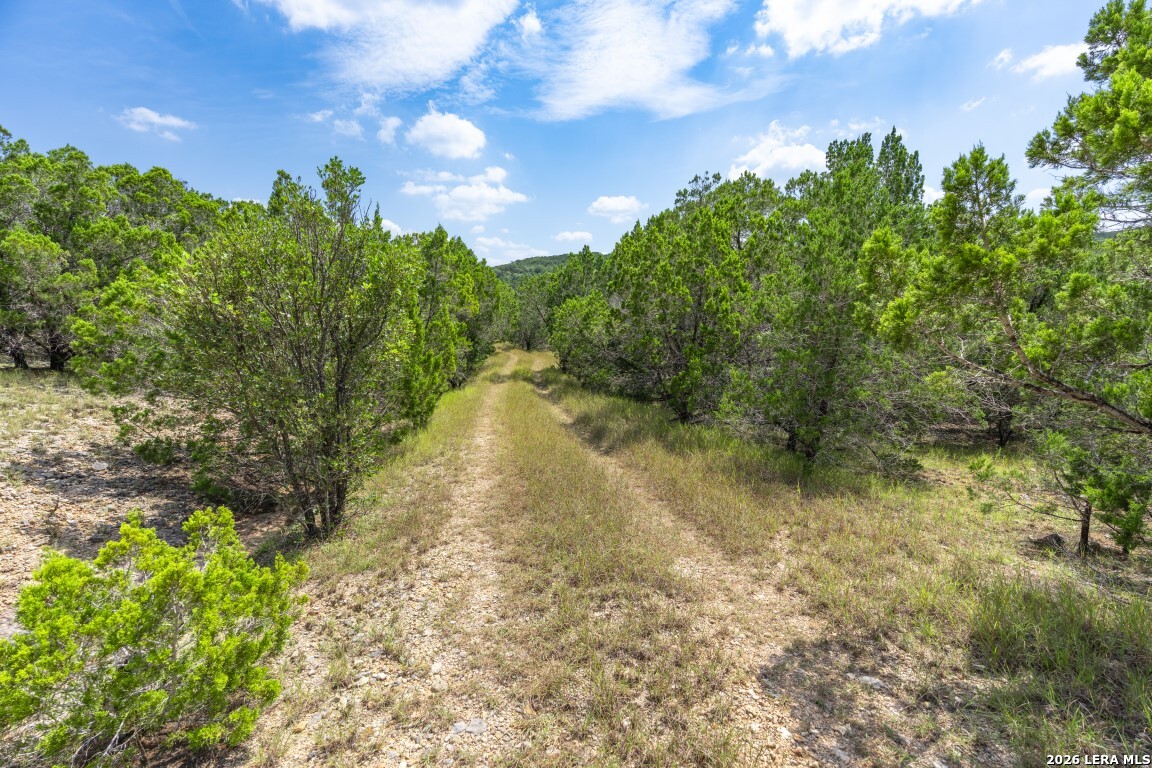 865 Arrowhead Point Helotes TX 78063