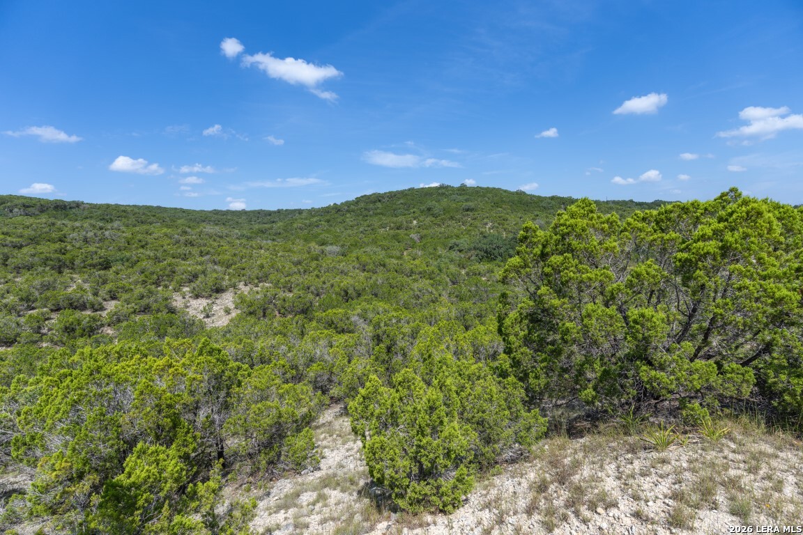 865 Arrowhead Point Helotes TX 78063