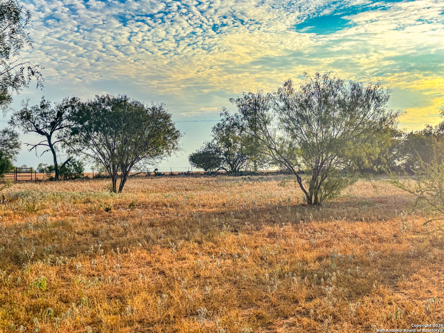 1460 County Road 1660 Moore TX 78057