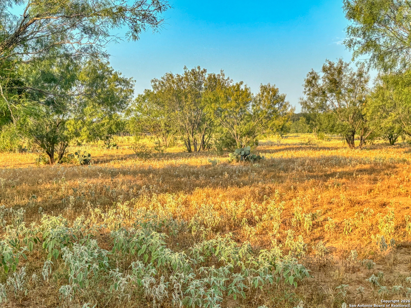 1460 County Road 1660 Moore TX 78057