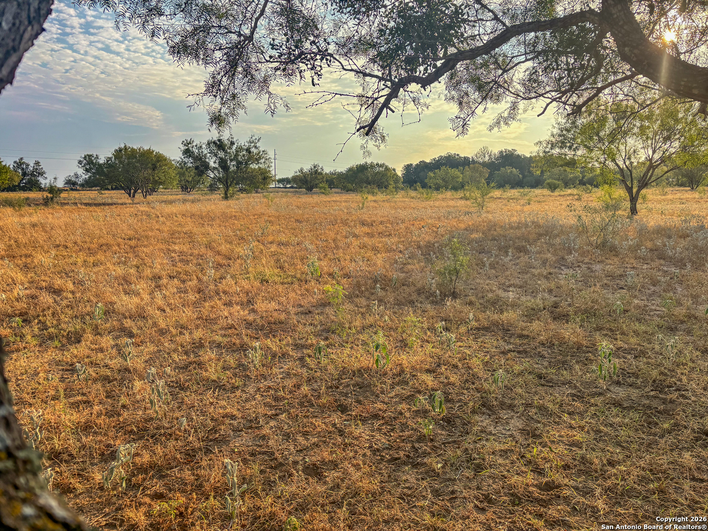 1460 County Road 1660 Moore TX 78057