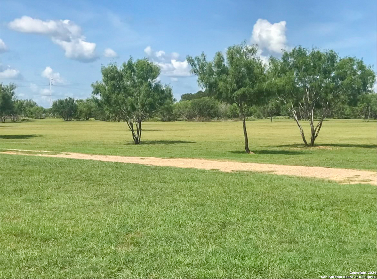 1460 County Road 1660 Moore TX 78057