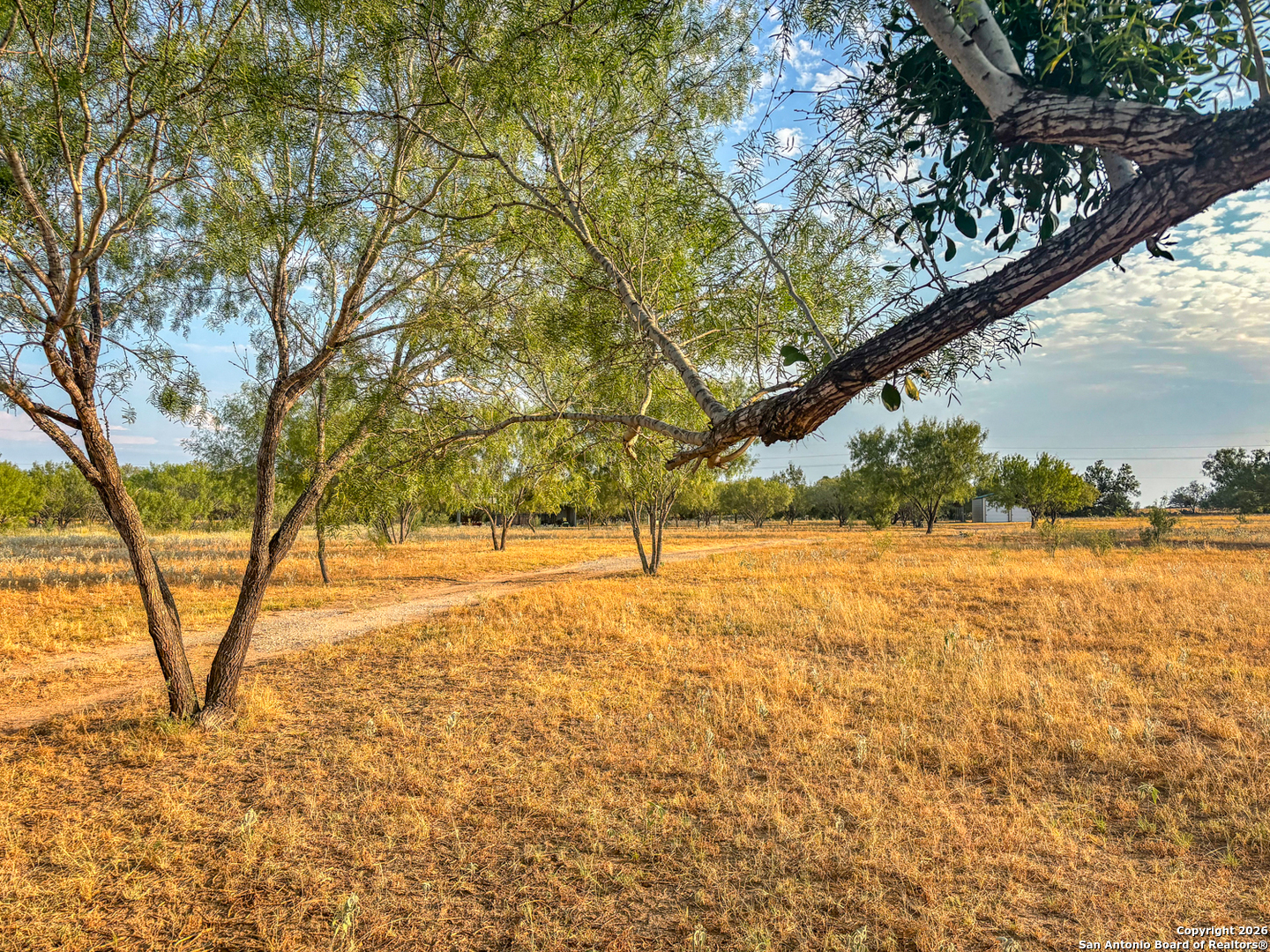 1460 County Road 1660 Moore TX 78057