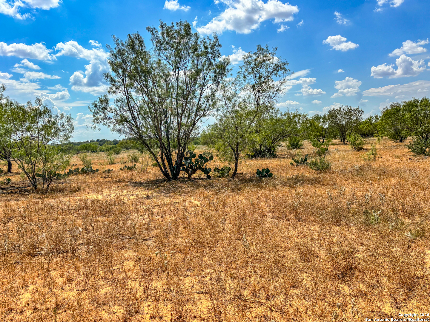 1460 County Road 1660 Moore TX 78057