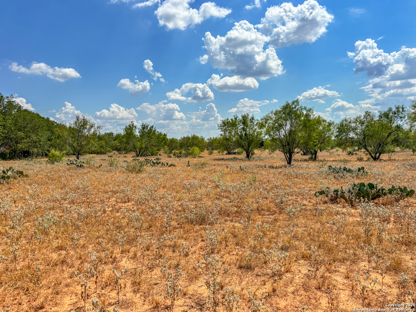 1460 County Road 1660 Moore TX 78057