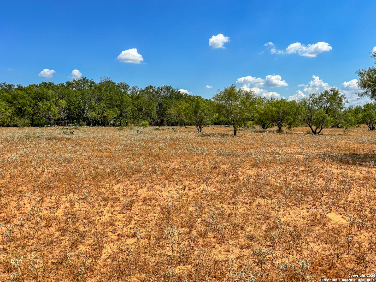 1460 County Road 1660 Moore TX 78057