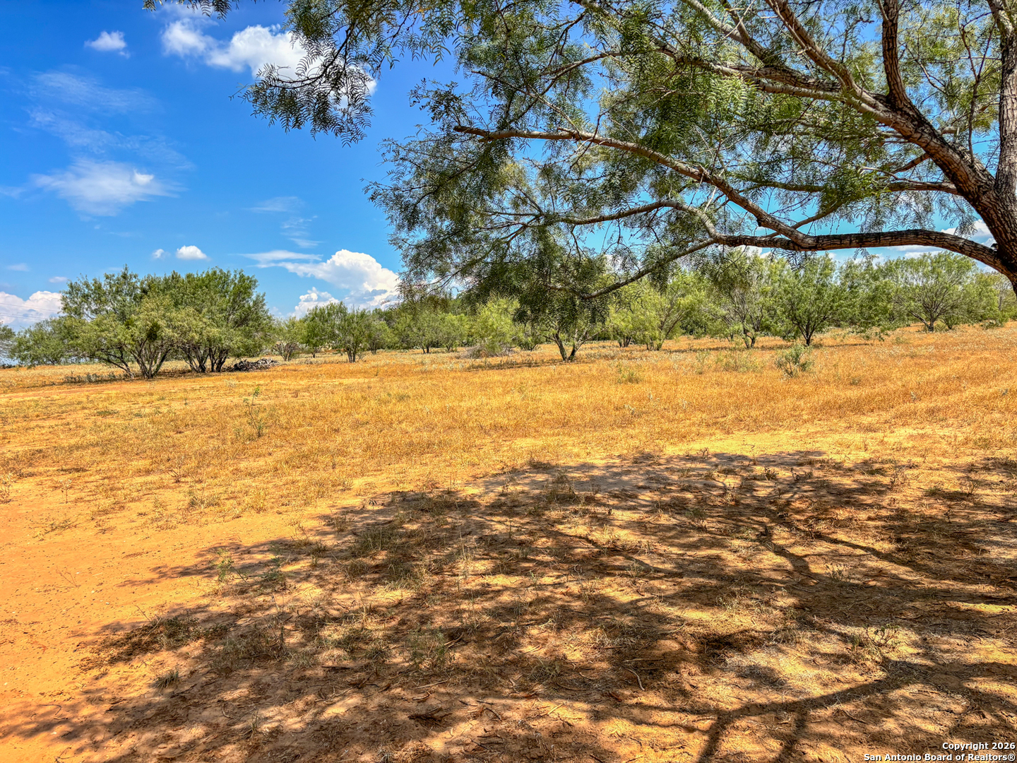 1460 County Road 1660 Moore TX 78057