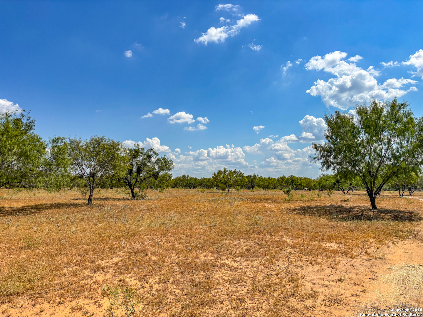 1460 County Road 1660 Moore TX 78057