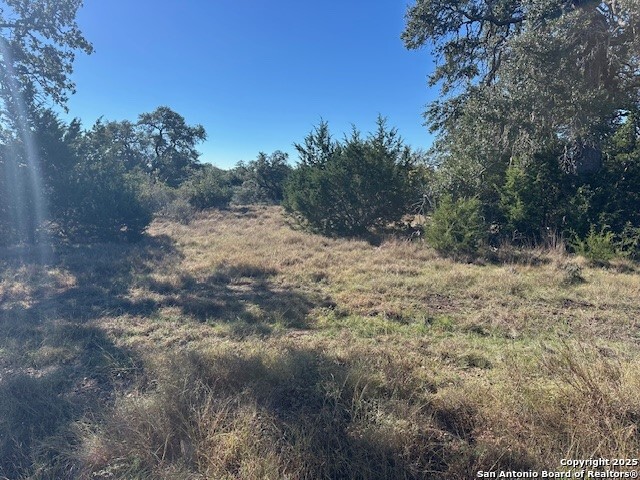 559 Curvatura New Braunfels TX 78132