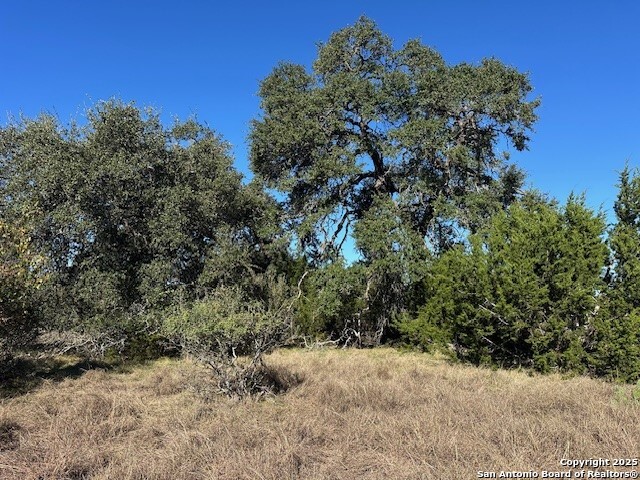 559 Curvatura New Braunfels TX 78132