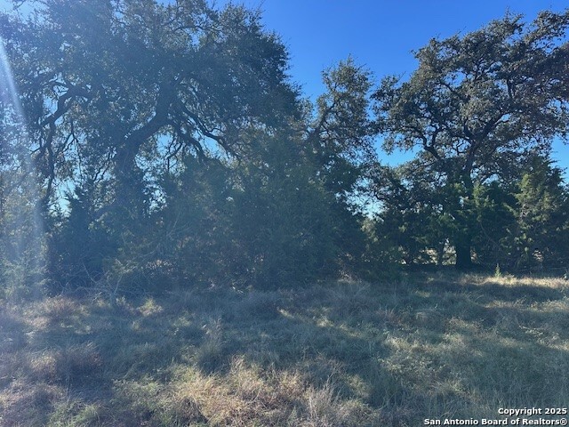 559 Curvatura New Braunfels TX 78132