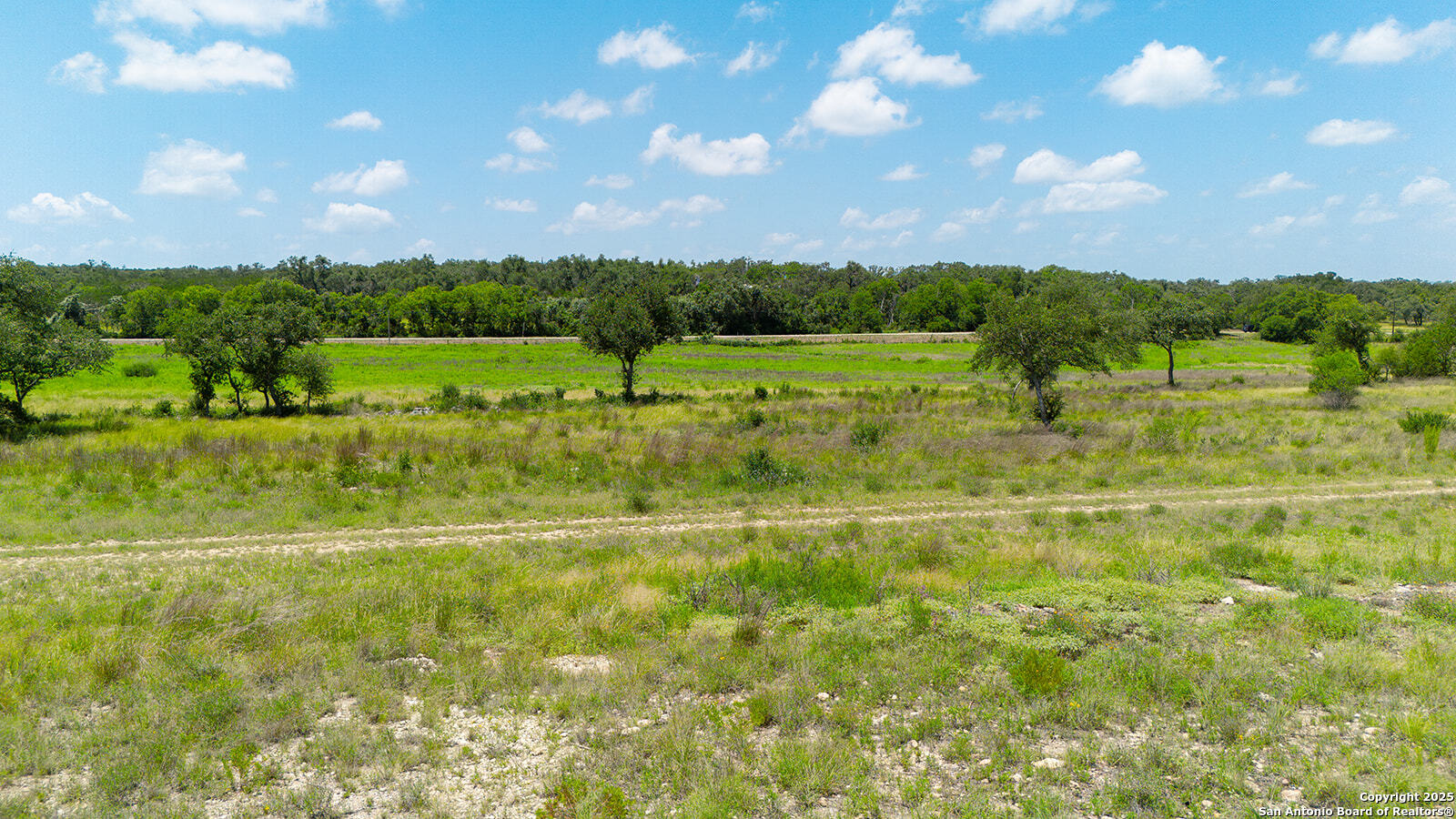 670 Windmill Ridge Blanco TX 78606