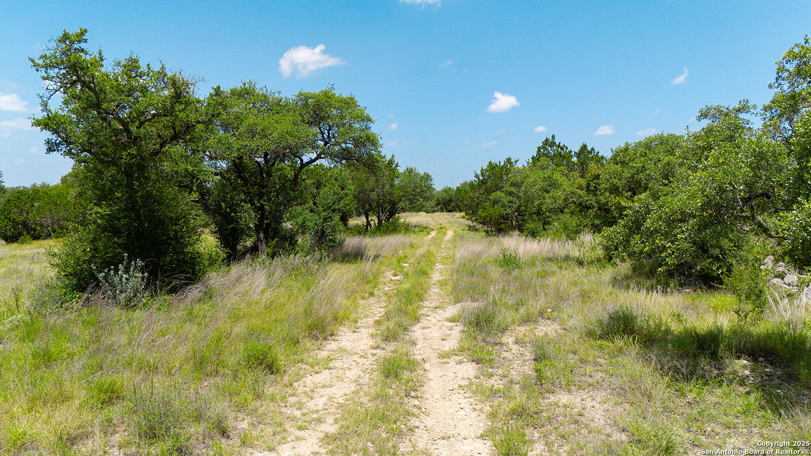 670 Windmill Ridge Blanco TX 78606